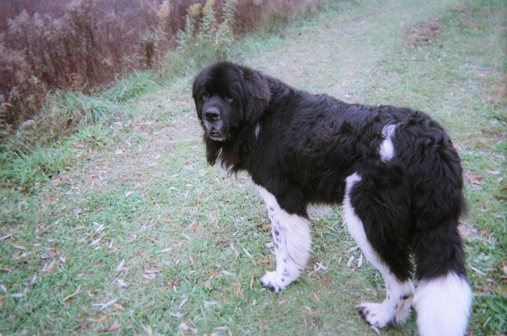 Ben