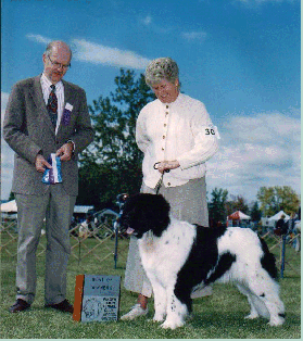 Rosieshow.gif (62235 bytes)