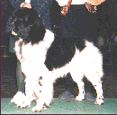 chancesmall.gif (11451 bytes)