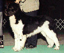 jimsmall.gif (12457 bytes)